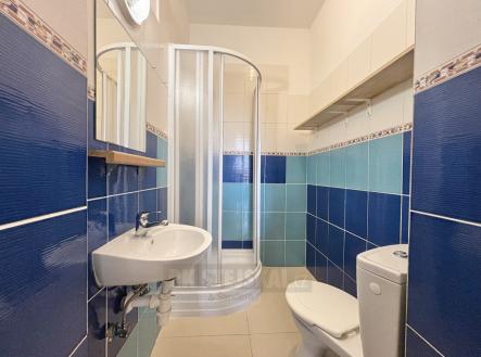 Pronájem bytu, 1+kk, 19 m²