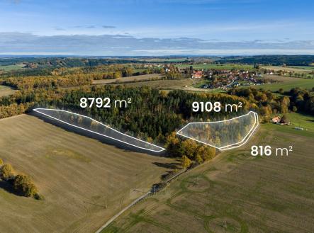 Prodej pozemku, les, 18 716 m²