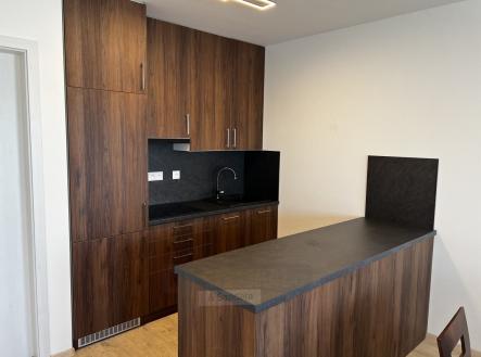 Pronájem bytu, 1+kk, 47 m²