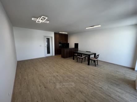 Pronájem bytu, 1+kk, 47 m²