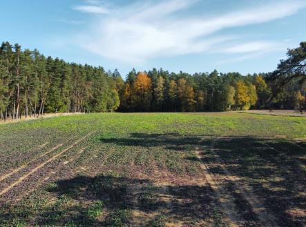 Prodej pozemku, zemědělská půda, 49 992 m²
