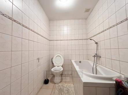Pronájem bytu, 1+kk, 23 m²