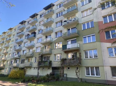 Pronájem bytu, 1+kk, 20 m²