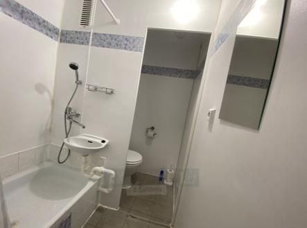 Pronájem bytu, 1+kk, 20 m²