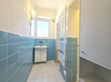 Pronájem bytu, 1+1, 51 m²