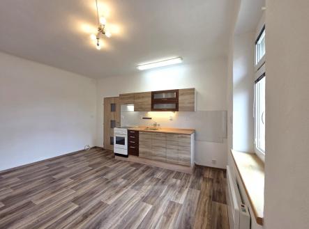Pronájem bytu, 1+1, 51 m²