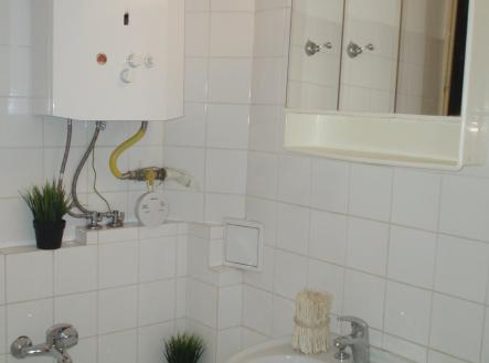 Pronájem bytu, 1+1, 55 m²