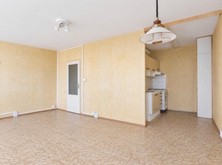 Prodej bytu, 1+kk, 33 m²