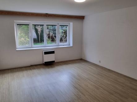 Pronájem bytu, 1+1, 51 m²