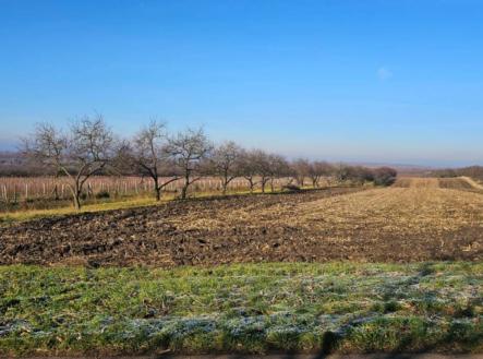 Prodej pozemku, zahrada, 3 450 m²