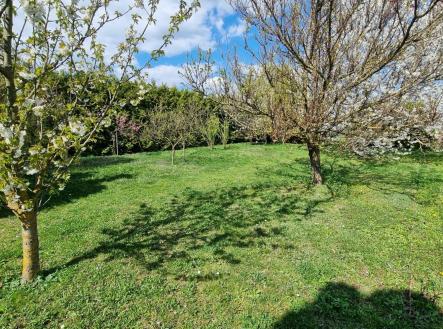 Prodej pozemku, zahrada, 1 373 m²