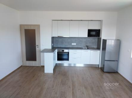 Pronájem bytu, 1+kk, 48 m²