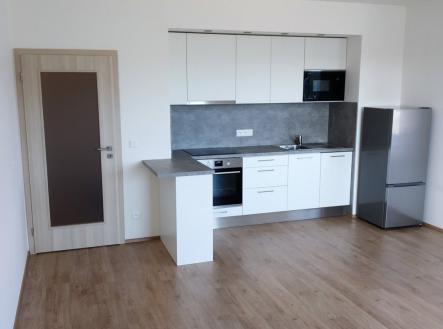 Pronájem bytu, 1+kk, 48 m²