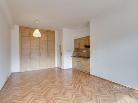 Pronájem bytu, 1+1, 45 m²