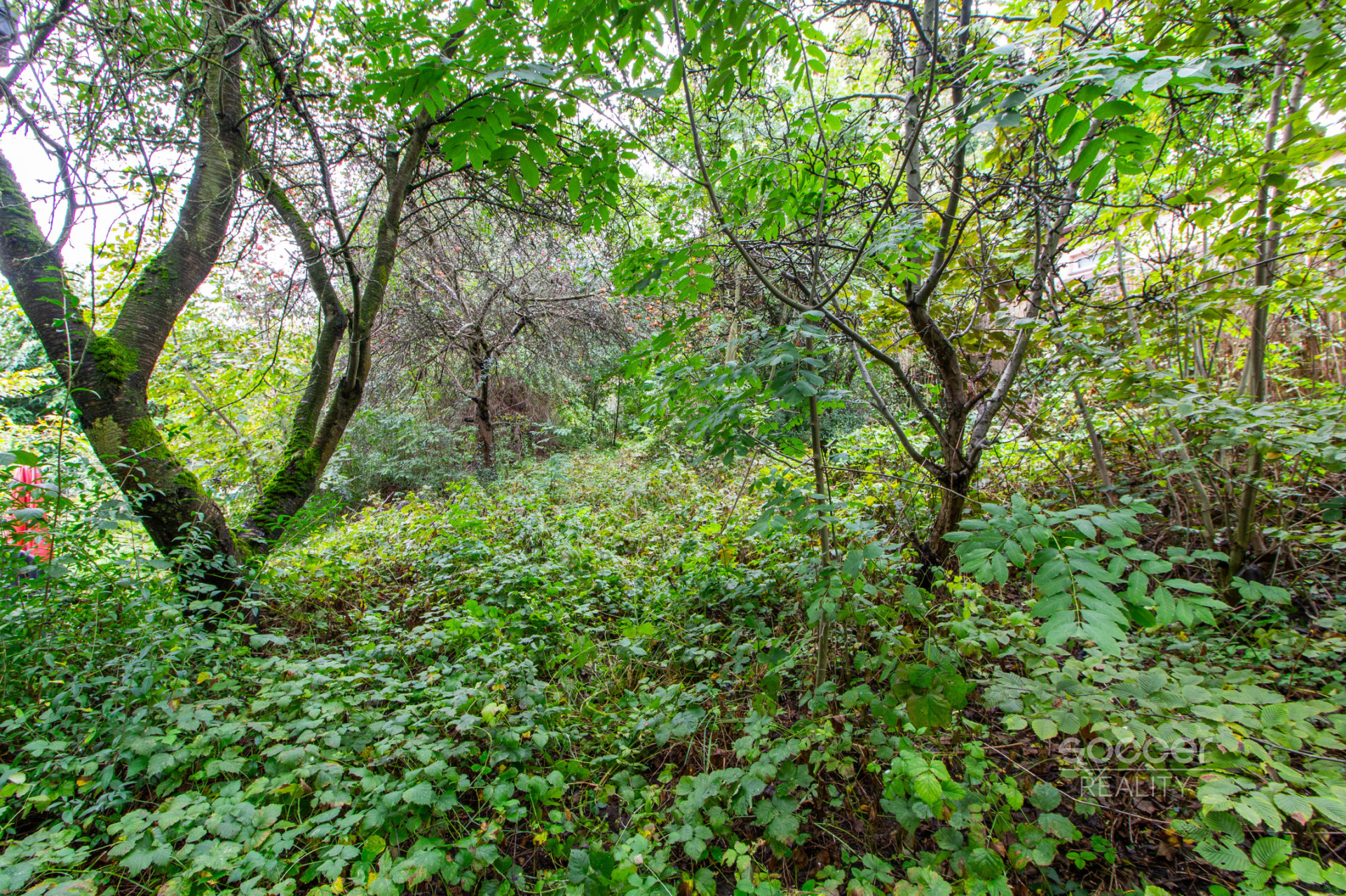 Prodej pozemku 644 m2, Praha - Hloubětín. 