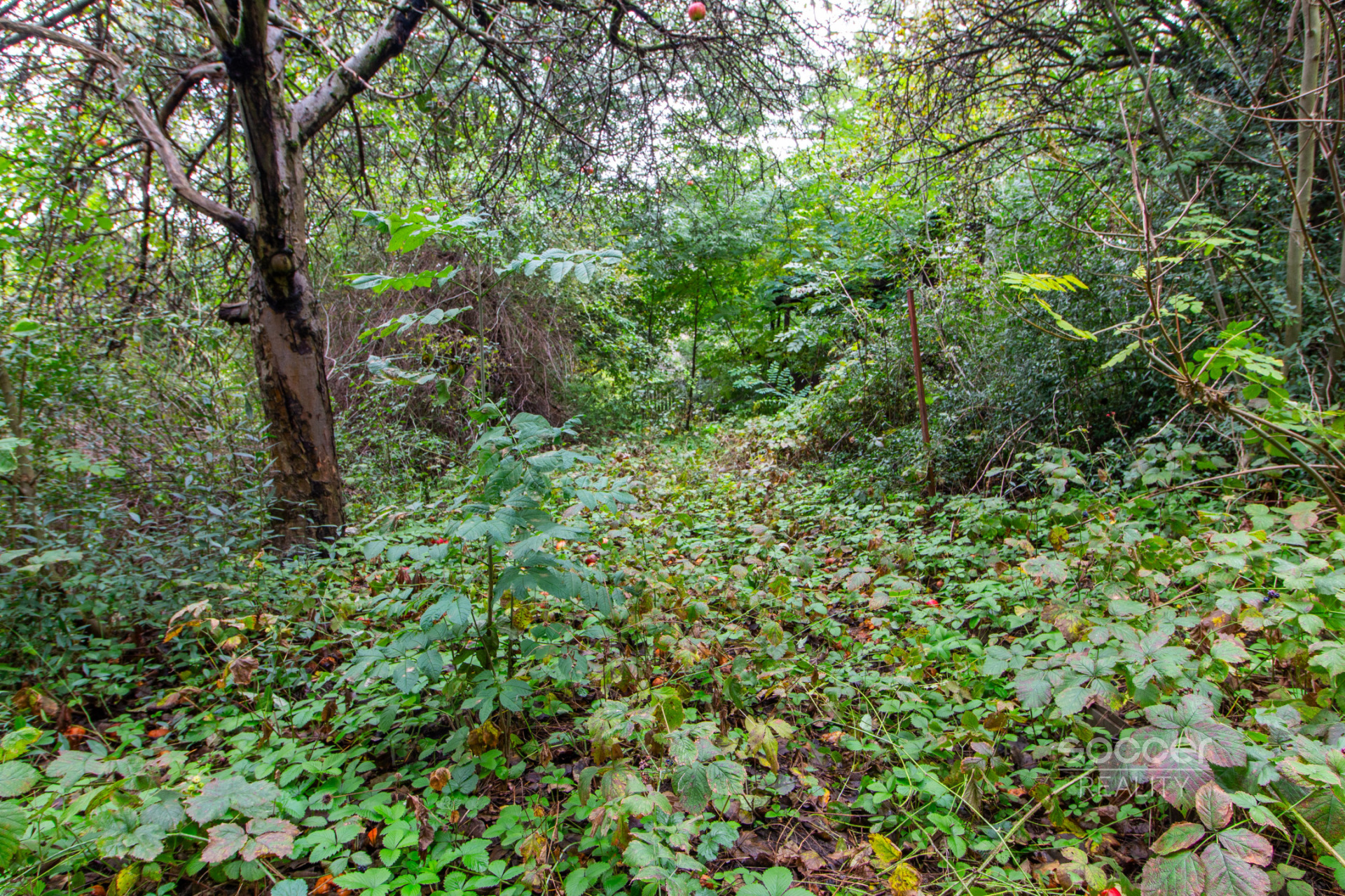 Prodej pozemku 644 m2, Praha - Hloubětín. 