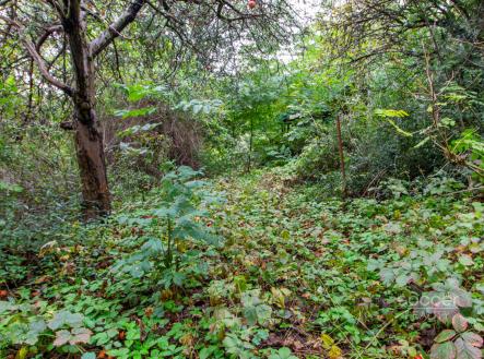 Prodej pozemku, zahrada, 644 m²