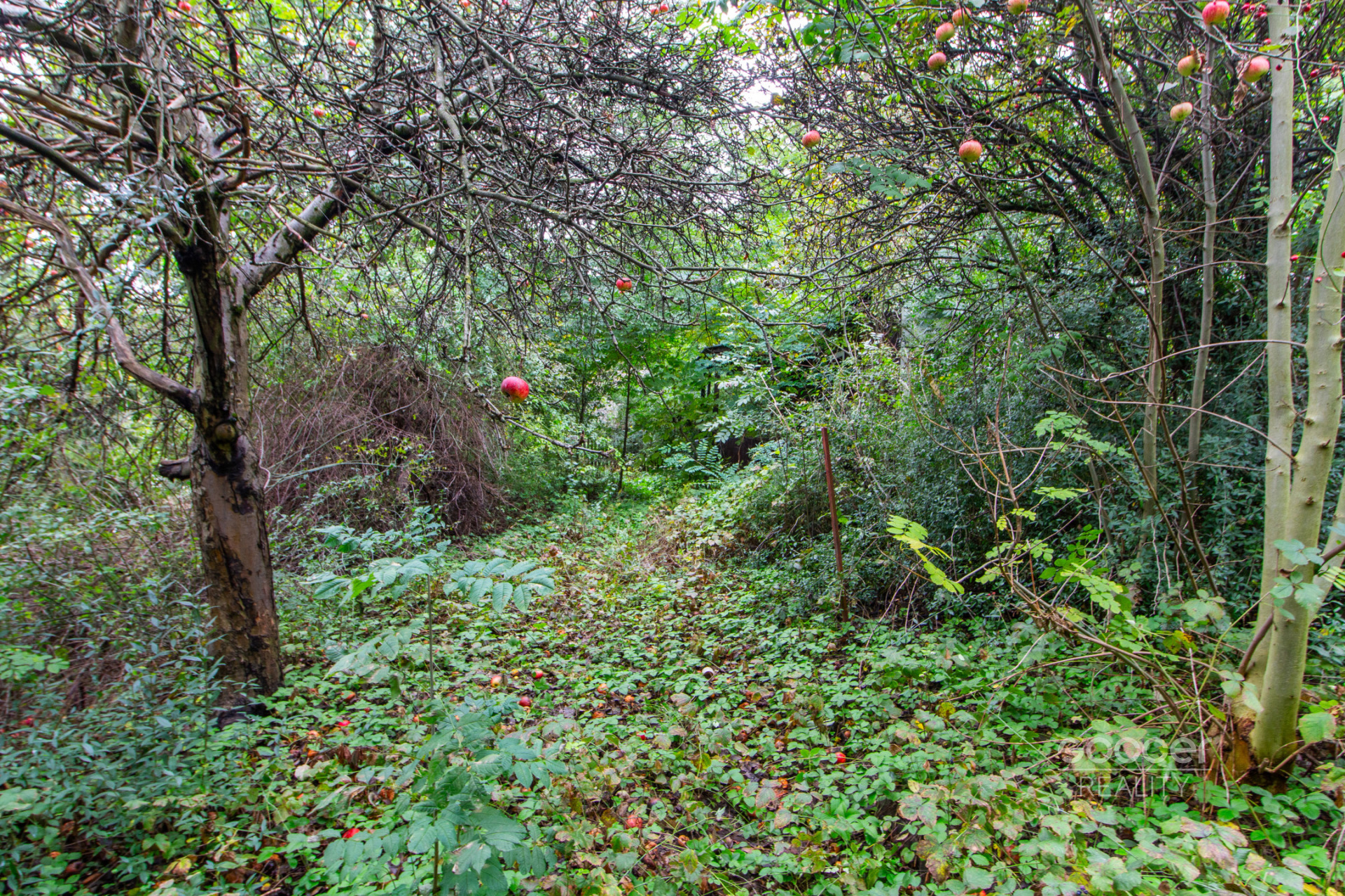 Prodej pozemku 644 m2, Praha - Hloubětín. 