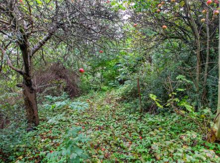 Prodej pozemku, zahrada, 644 m²