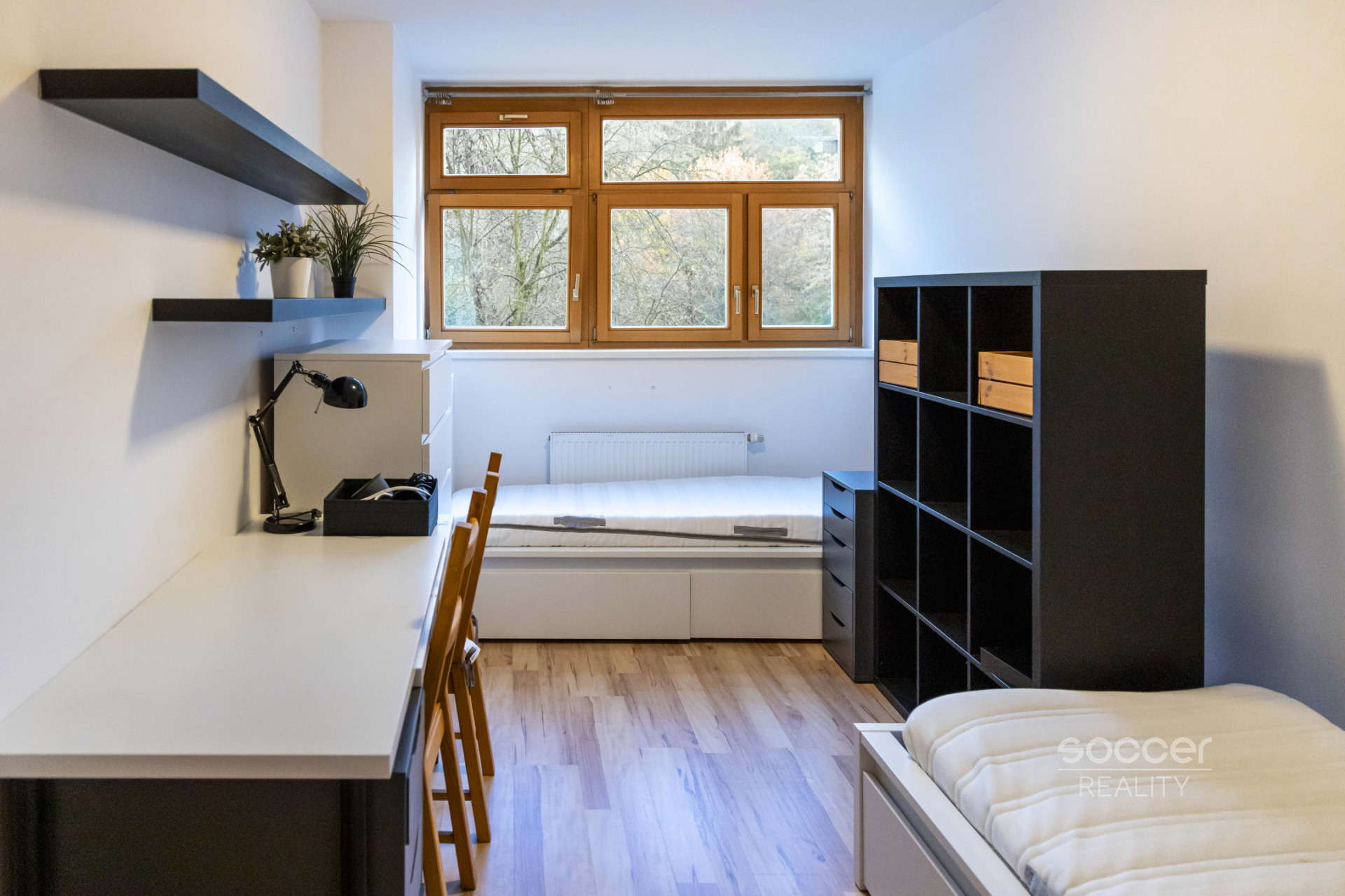 Fotku se nepodařilo načíst.