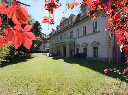 Pronájem kanceláře, 70 m²