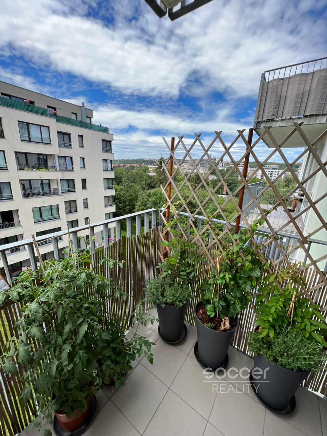 Fotku se nepodařilo načíst.