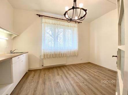 Pronájem bytu, 1+1, 51 m²