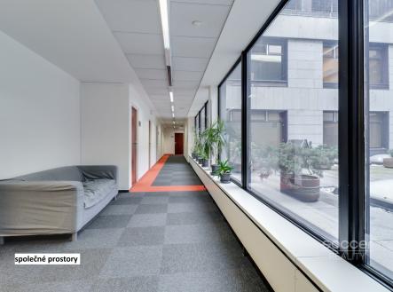 Pronájem kanceláře, 17 m²