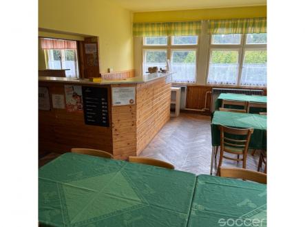 Pronájem chaty/rekreačního objektu, 600 m²