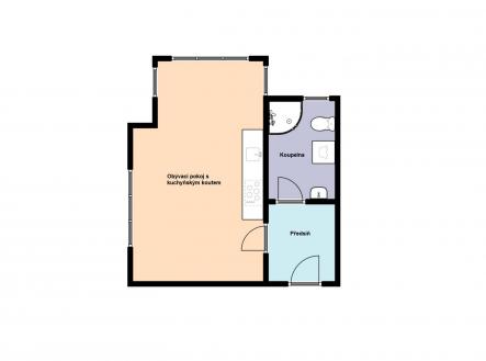Pronájem bytu, 1+kk, 20 m²