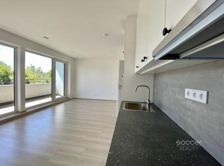 Pronájem bytu, 1+kk, 40 m²