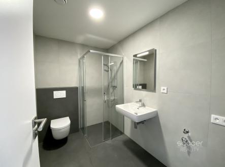 Pronájem bytu, 1+kk, 40 m²