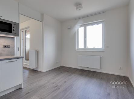 Pronájem bytu, 1+kk, 34 m²