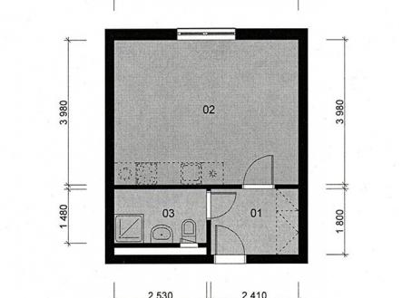Pronájem bytu, 1+kk, 30 m²