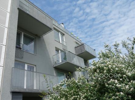 Pronájem bytu, 1+kk, 32 m²