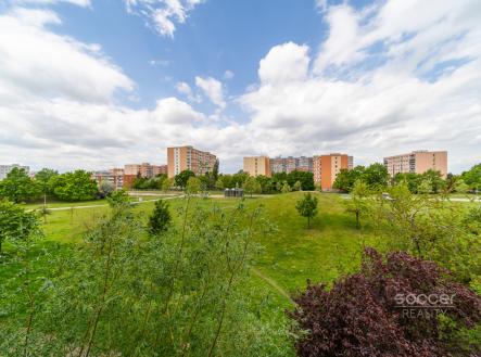 Pronájem bytu, 3+1, 70 m²