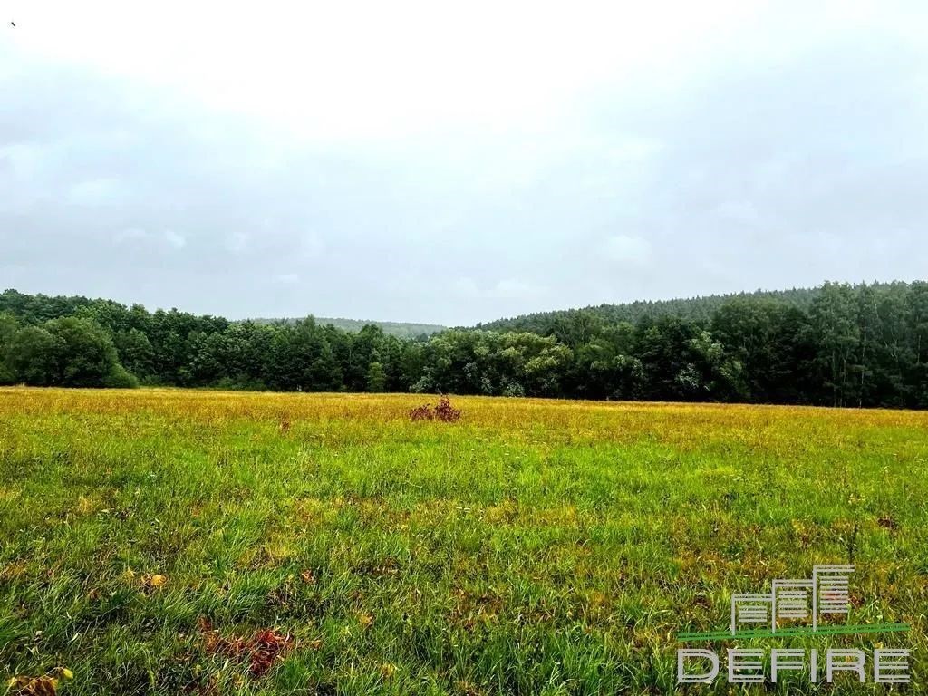 zahrada s pohled na lesy a venkovský pohled