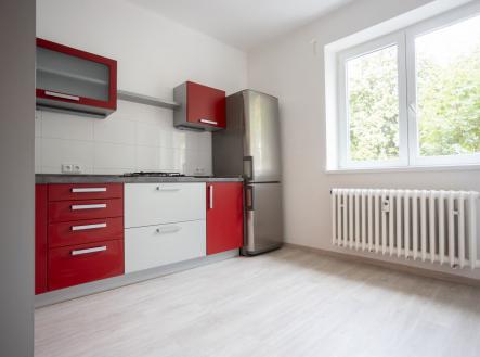 Pronájem bytu, 1+1, 46 m² obrázek