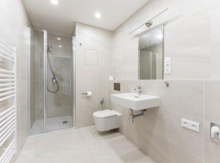 Pronájem bytu, 1+kk, 50 m²