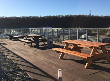 Pronájem bytu, 1+kk, 36 m²