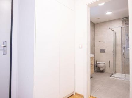 Pronájem bytu, 1+kk, 24,5 m²