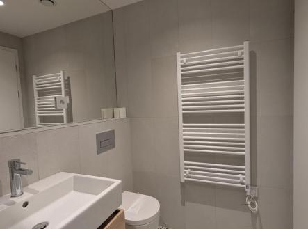 Pronájem bytu, 1+kk, 34 m²