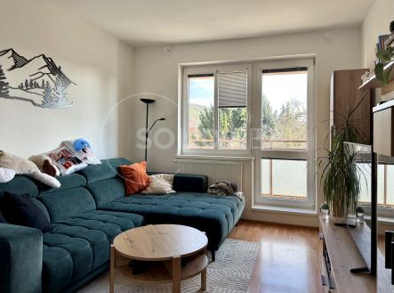 Pronájem bytu, 3+1, 79 m²