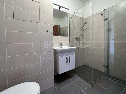 Pronájem bytu, 2+kk, 48 m²