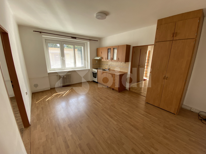 Pronájem bytu 1+1 56 m2, Mlýnská, Ústí nad Labem.