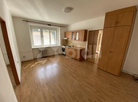 Pronájem bytu, 1+1, 56 m²