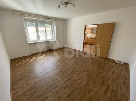 Pronájem bytu, 1+1, 56 m²