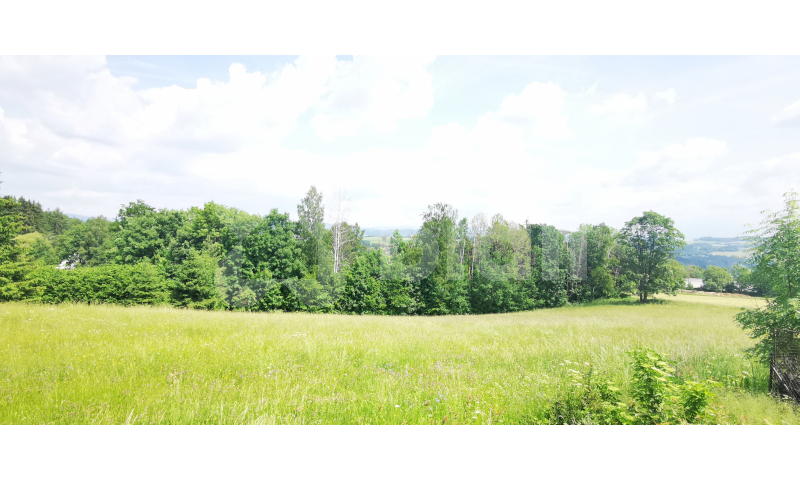 Prodej pozemku (2000m2) pro výstavbu rodinného domu poblíž Českého ráje