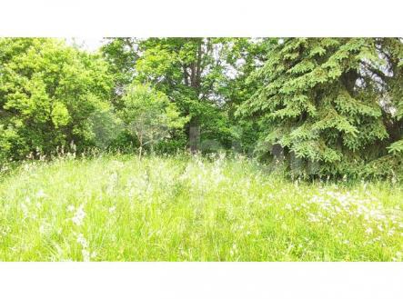 Prodej pozemku pro bydlení, 956 m²