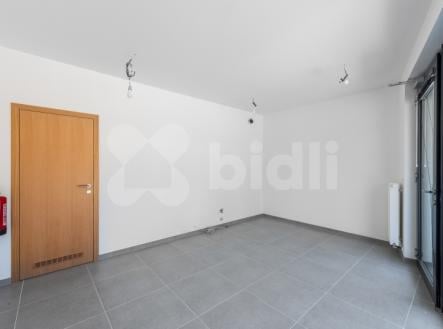 Prodej - obchodní prostor, 22 m²